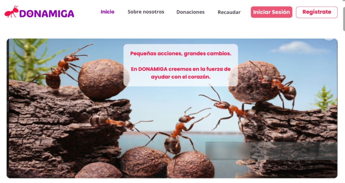 Donamiga Home